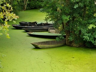 Maison de vacances Saint-Pierre-le-Vieux Environnement 32