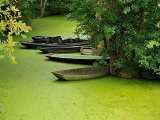 Maison de vacances Saint-Pierre-le-Vieux Environnement 35