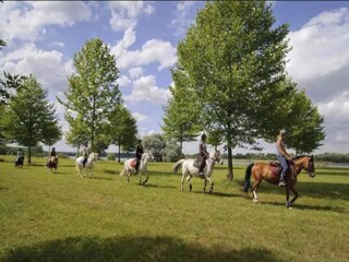 Vakantiehuisje Noisy-le-Grand Omgeving 24