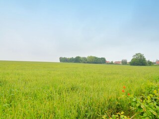 Maison de vacances Champagne - Ardenne Environnement 35