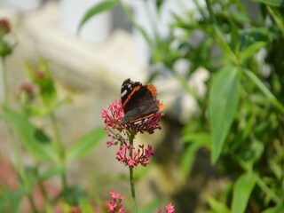 Vakantiehuis Champagne - Ardenne  42