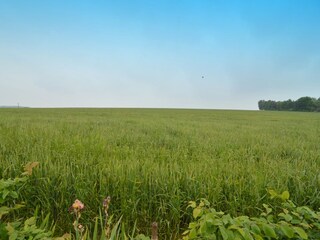 Vakantiehuis Champagne - Ardenne Buitenaudio-opname 2