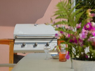 Ferienhaus Champagne - Ardenne Außenaufnahme 10