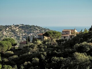 Ferienhaus Bormes-les-Mimosas Außenaufnahme 6