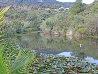 Casa per le vacanze Bormes-les-Mimosas Ambiente 31