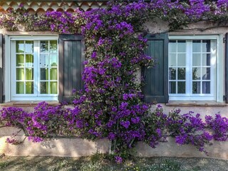 Ferienhaus Bormes-les-Mimosas  39