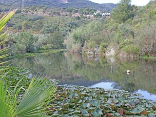 Holiday house Bormes-les-Mimosas Environment 28