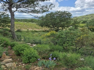Ferienhaus Bormes-les-Mimosas Umgebung 36