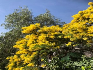 Ferienhaus Bormes-les-Mimosas Umgebung 29