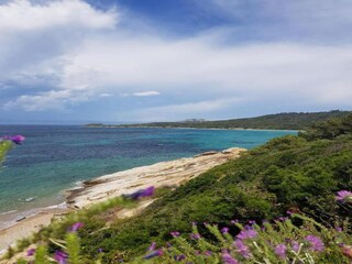 Casa per le vacanze Bormes-les-Mimosas Ambiente 27