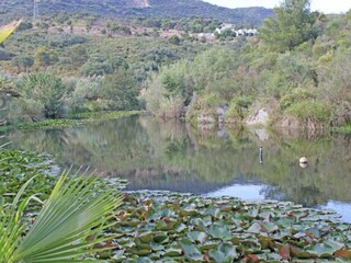 Vakantiehuis Bormes-les-Mimosas Omgeving 37