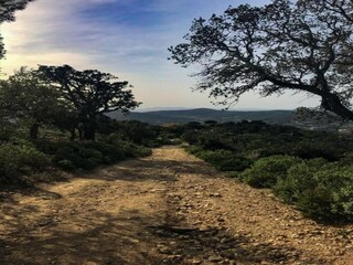 Vakantiehuis Bormes-les-Mimosas Omgeving 24