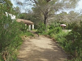 Villa La Croix-Valmer Outdoor Recording 4