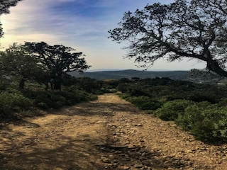 Villa La Croix-Valmer Umgebung 33