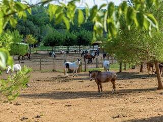 Ferienhaus Le Luc Umgebung 29