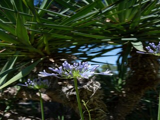 Villa Les Issambres Enregistrement extérieur 10