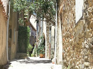 Maison de vacances La Croix-Valmer Environnement 28
