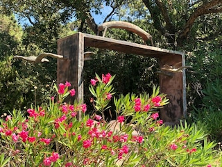 Villa La Croix-Valmer Enregistrement extérieur 18