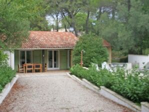 Holiday house Comfortable holiday home with private pool - Saint-Paul-en-Forêt - image1