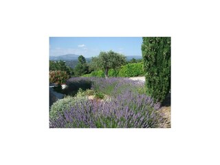 Appartamento Montauroux  36