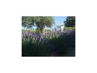 Appartement Montauroux  37