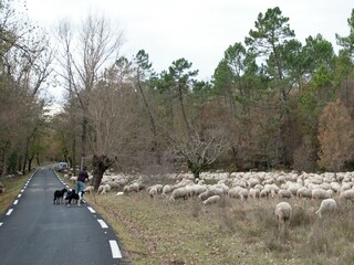 Villa Saint-Paul-en-Forêt Entorno 33
