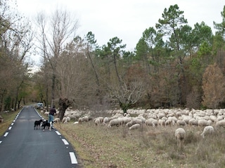Villa Saint-Paul-en-Forêt Entorno 35