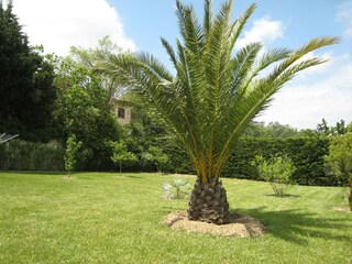 Villa Saint-Paul-en-Forêt Buitenaudio-opname 7