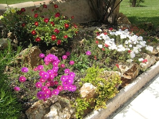 Villa Saint-Paul-en-Forêt Außenaufnahme 4