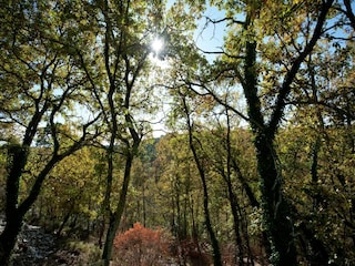 Villa Saint-Paul-en-Forêt Environnement 30