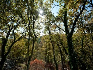 Villa Saint-Paul-en-Forêt Omgeving 29