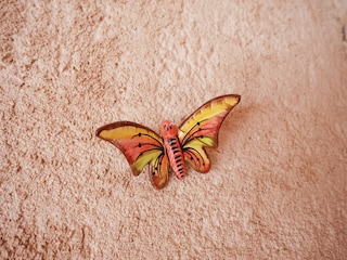 Villa Saint-Paul-en-Forêt Environnement 32