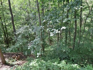 Villa Saint-Paul-en-Forêt Environnement 35