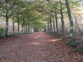 Villa Saint-Paul-en-Forêt Entorno 35