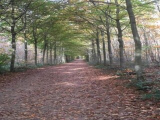 Villa Saint-Paul-en-Forêt Environnement 35
