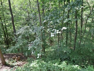 Villa Saint-Paul-en-Forêt Ambiente 31