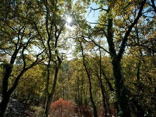 Villa Saint-Paul-en-Forêt Environnement 32