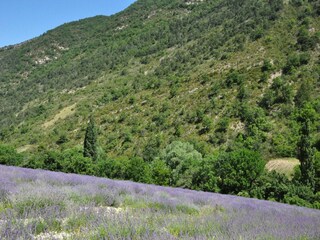 Villa Fayence Omgeving 34