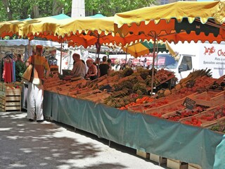 Villa Vidauban Omgeving 35