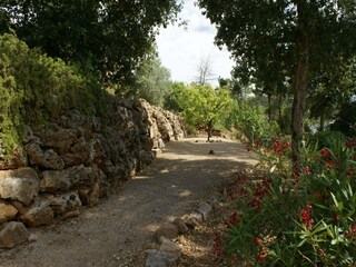 Villa Vidauban Outdoor Recording 14