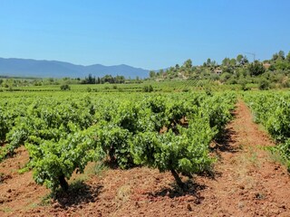 Villa Vidauban Buitenaudio-opname 12