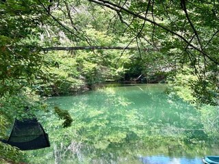 Villa Vidauban Entorno 28