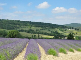 Villa Vidauban Entorno 29
