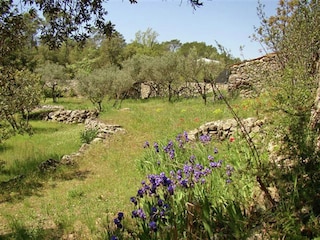Ferienhaus Carcès Außenaufnahme 4