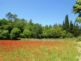 Villa Entrecasteaux Environnement 25