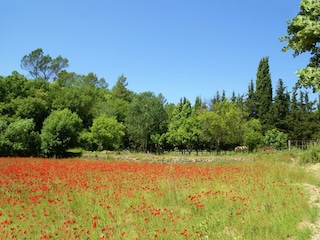Villa Entrecasteaux Umgebung 28
