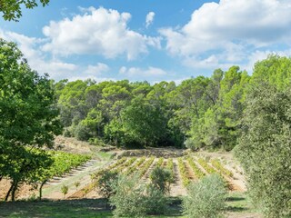 Villa Entrecasteaux Omgeving 24