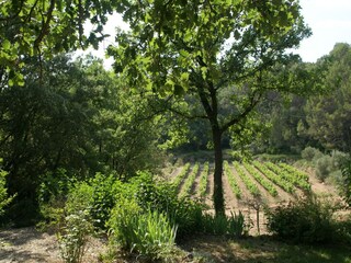 Villa Entrecasteaux Buitenaudio-opname 11