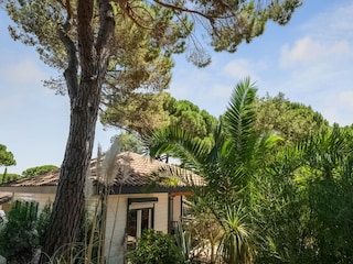 Ferienhaus Cogolin Außenaufnahme 1