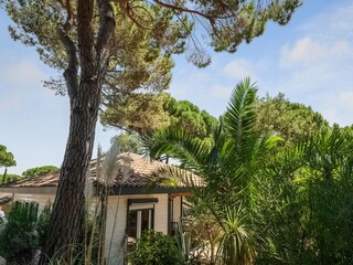 Maison de vacances Cogolin Enregistrement extérieur 7